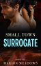 [Sins of the South 06] • Small Town Surrogate